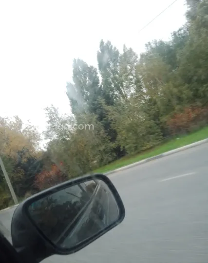 Проститутка Оля - Фото 2 №79337